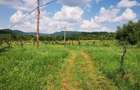 Teren Lac Domnesti Arges 18100 mp - 8