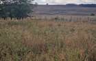 Teren intravilan de 1508 mp cu utilitati - Ianova - 4