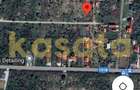 OPORTUNITATE | TEREN | SNAGOV TANCABESTI | CASA | 1000 MP | INVESTITIE - 4