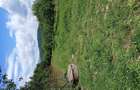 Teren intravilan de vanzare, 6719mp, rural - 7