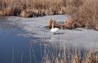 Teren cu deschidere la lac strada Orhideelor- conectare imediata la curent - 2