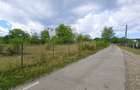 Teren intravilan 4.280 mp - Dobreni, Neamt - asfalt, 65 m deschidere - 4