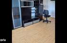 Apartament cu 3 camere în Broșteni