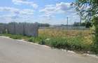 Vand 1000mp in Aroneanu - 4