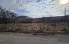 Teren intravilan, 3800 mp, ideal investitie - zona turistica , Moigrad - 6