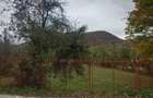 Teren intravilan 2500mp Criscior