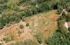 Teren de vanzare, 5000mp, cu iesire la rau, in Borlova, Muntele Mic - 4