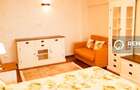 Apartament cu o camera situat in zona Garii - McDonald's - 8