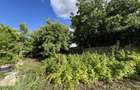 Teren Intravilan 564 mp, front 12 m, regim P+M, utilat - Ciarda Rosie