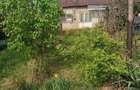 Vand casa batraneasca 33000 euro - 1
