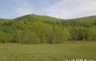 Teren deosebit zona Sebes de Brasov 11 EU - 6