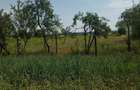 Casă cu Teren 7000 Mp în Săbiești - 2