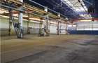 Spatiu Industrial - 4600 mp - Productie - Depozitare - Distributie - 2