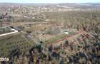 Teren intravilan in apropiere de padure, Paleu, Bihor Gaminvest V4509B - 2