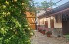 Casa saseasca renovata, cu sura - Seica Mare, Sibiu - 11