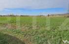 Teren in Razvad intravilan 1400mp cu acces la curent electri - 2