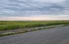 Teren de 30000 mp, în Filipeștii de Târg - 4