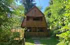 Casa de Vacanta - Toplita, Harghita - 1