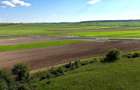 Vand teren intravilan in Sanmartin -Padure Baile Felix-Inelul Metropolitan- 4208 mp - 58 euro/mp - 3