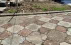 Casa individuala cu anexe de vanzare in Roman, zona lini?tita - 11