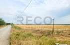 RECO, teren extravilan, Zona Sinteu, Bihor - 6