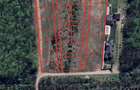 EXCLUSIVITATE-PROIECT PADUREA SNAGOV!Loturi 400-600m2, PUZ rezidential - 6