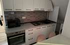Apartament 2 camere de inchiriat, Valea Lupului, ESQ Village 2 - 3