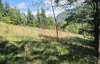 Teren intravilan 1825 mp de vanzare in Valea Doftanei