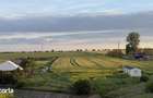 Teren de investitie in CARTIER NOVA in Costinesti la 2 Km de plaja - 9