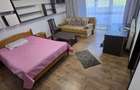 De inchiriat Apartament 1 camera Bucatarie separata Calea Baciului - 13