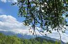 Oportunitate perfecta pentru un proiect turistic - 3.274 mp in Simon, Bran - pensiune, boutique-hotel, vile de vacanta sau complex eco-turistic