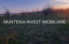 Teren 6000 mp. intravilan Smeura, str. Olteni - 11