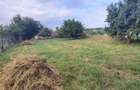 Proprietar: Teren 1.000 mp in Salicea Vanzare directa, Utilitati, Gard si PUZ in Curs (Estimare Aug-Sept) - 1