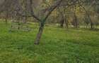 Teren de vanzare in Musate?ti, jude?ul Arge?, zona Maruncioaia, 3560mp, 25m deschidere, 4 EUR/mp - 2