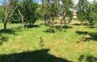 Casă cu 3 camere în Ciceu-Corabia - 1