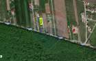 Teren intravilan, langa padure, 752 mp, Bolintin-Deal