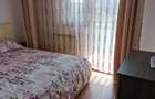Inchiriere apartament Micalaca - 6