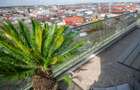 Dobroesti Regnum Residence 2 Camere Parcare Inclusa - 6