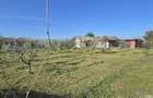 Vadu-Exclusivitate, casa 75mp, teren 1917 mp/31ml deschidere, centru - 7