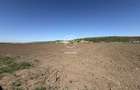 TEREN EXTRAVILAN DE VANZARE | 23 EURO/MP | 2900 MP | ZONA AEROPORT - 3