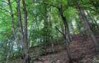 Teren de 1500 mp, în Vlădești - 5
