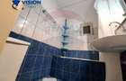 Apartament de vânzare în zona Profi -Valea Rosie - 12