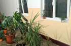Apartament spatios cu 4 camere, zona Penny, Marghita - 7