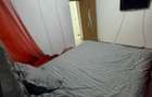 Ichiriez apartanent 2 camere , recent renovat - 6