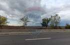 Teren 6,500mp Snagov / DN 1 - 3