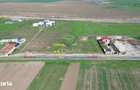 Teren Pasarea - Frumusani - deschidere la DN4 - 2.010 mp