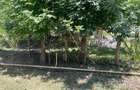 Proprietar vand teren intravilan 2774 mp - 7