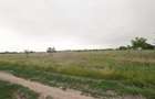 Comuna Berceni Lot teren 700 mp Intravilan deschidere 17m - 5