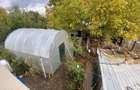 Casa Holboca Dancu 6 camere/ 560 mp teren !