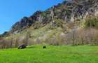 Terenuri intravilane de vanzare Lepsa, Vrancea - 6